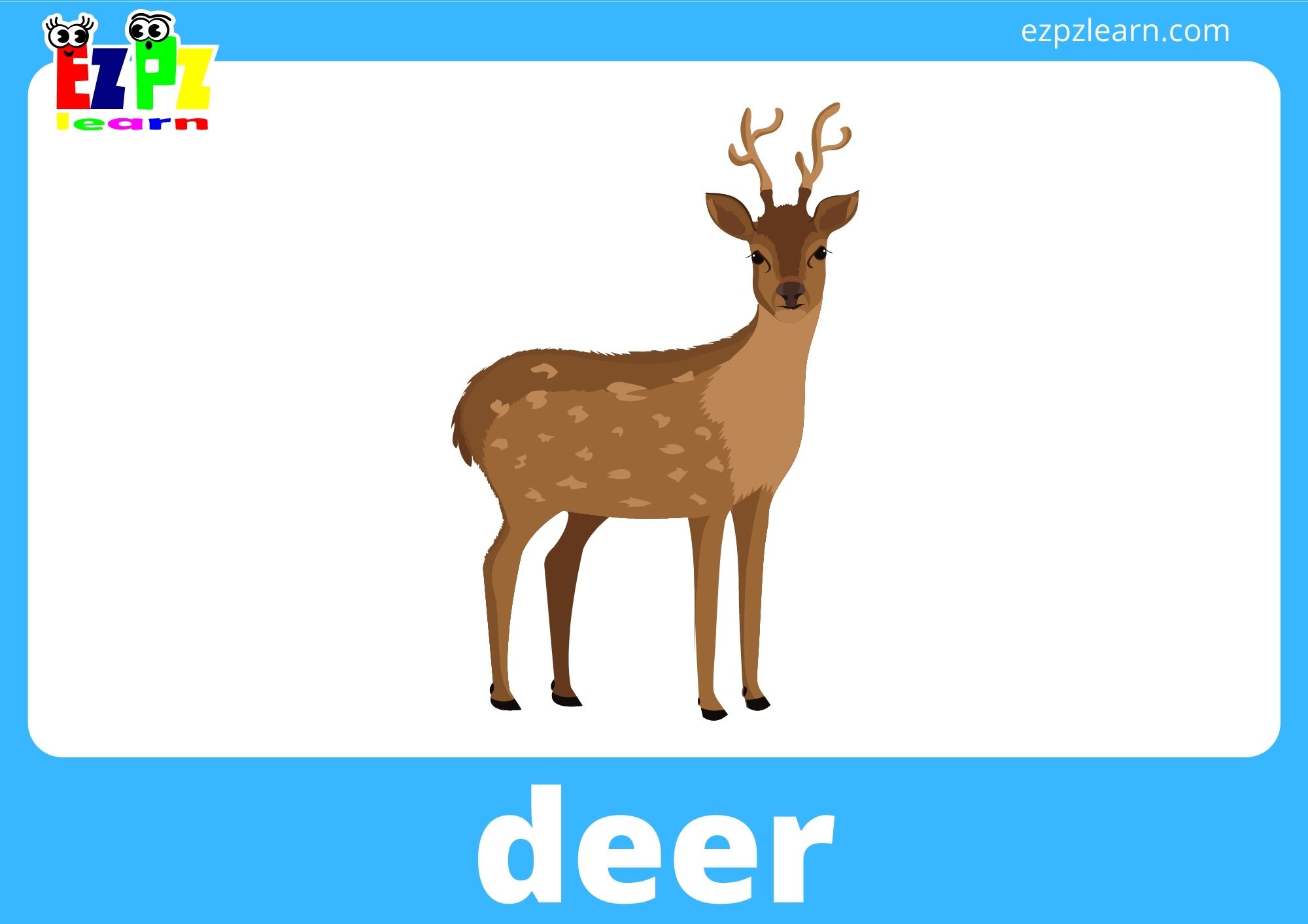 deer